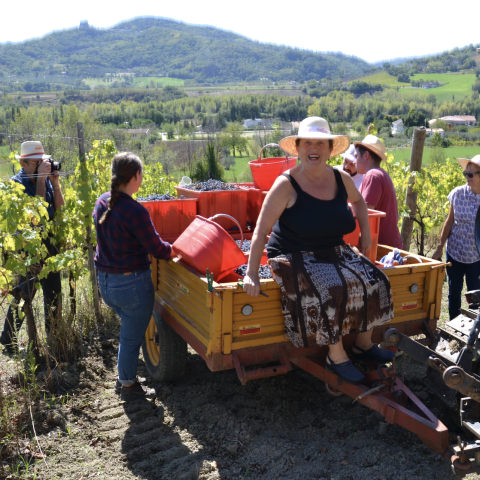 Screenshot 2024-11-20 alle 18.42.38