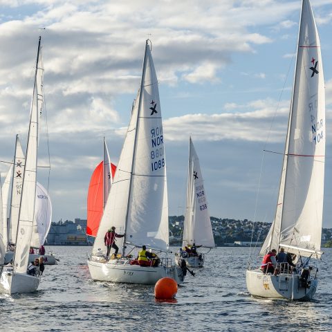 albin-express-971506_1920