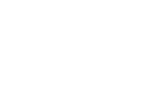 GRUPPO_VEM_LOGO_WHITE